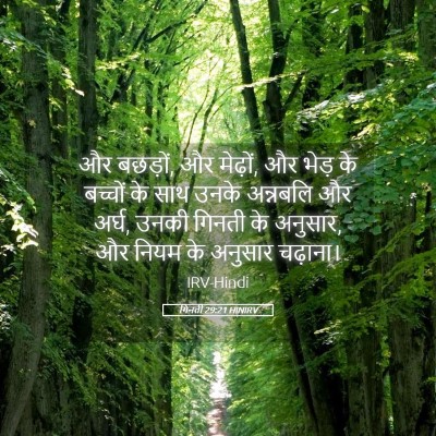 Picture 05 - गिनती 29:21 HINIRV - और बछड़ों, और - Bible Verse Picture
