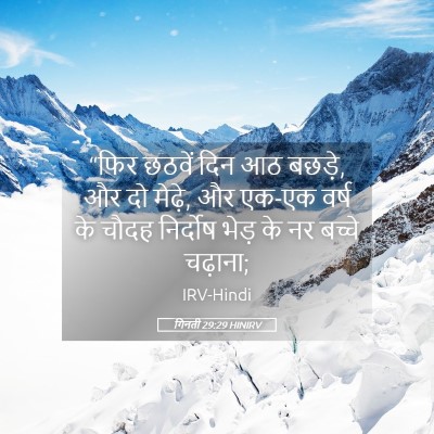 Picture 05 - गिनती 29:29 HINIRV - “फिर छठवें दिन आठ - Bible Verse Picture