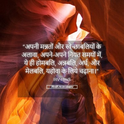 Picture 05 - गिनती 29:39 HINIRV - “अपनी मन्नतों और - Bible Verse Picture