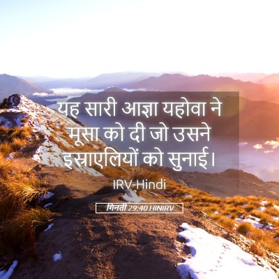 Picture 05 - गिनती 29:40 HINIRV - यह सारी आज्ञा - Bible Verse Picture