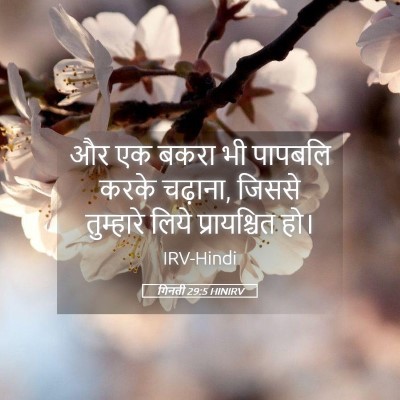 Picture 05 - गिनती 29:5 HINIRV - और एक बकरा भी - Bible Verse Picture