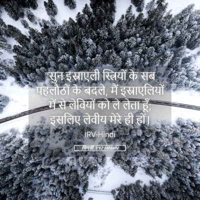 Picture 05 - गिनती 3:12 HINIRV - “सुन इस्राएली - Bible Verse Picture
