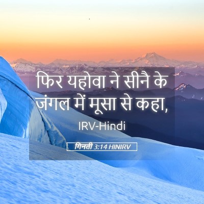Picture 05 - गिनती 3:14 HINIRV - फिर यहोवा ने सीनै - Bible Verse Picture
