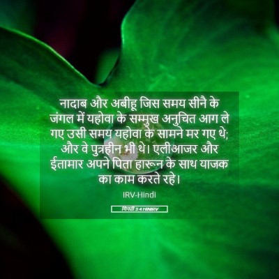 Picture 05 - गिनती 3:4 HINIRV - नादाब और अबीहू जिस - Bible Verse Picture