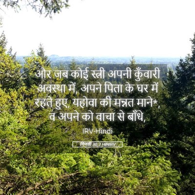 Picture 05 - गिनती 30:3 HINIRV - और जब कोई स्त्री - Bible Verse Picture