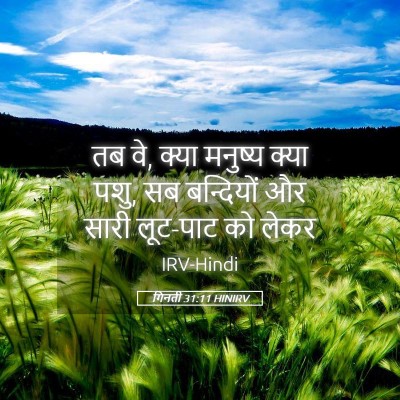 Picture 05 - गिनती 31:11 HINIRV - तब वे, क्या मनुष्य - Bible Verse Picture