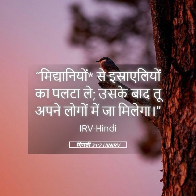 Picture 05 - गिनती 31:2 HINIRV - “मिद्यानियों* से - Bible Verse Picture