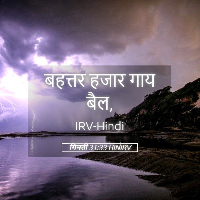 Picture 05 - गिनती 31:33 HINIRV - बहत्तर हजार गाय - Bible Verse Picture