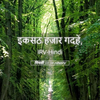 Picture 05 - गिनती 31:34 HINIRV - इकसठ हजार - Bible Verse Picture