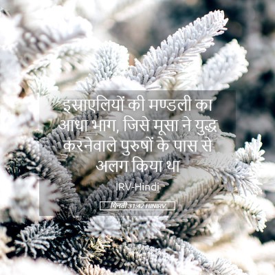 Picture 05 - गिनती 31:42 HINIRV - इस्राएलियों की - Bible Verse Picture