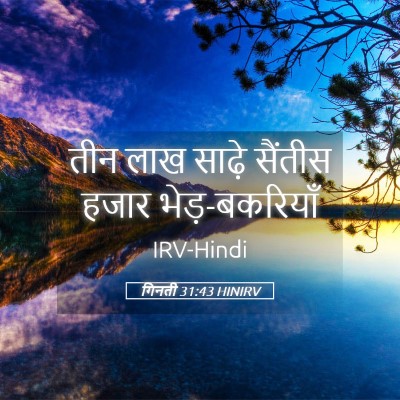 Picture 05 - गिनती 31:43 HINIRV - तीन लाख साढ़े - Bible Verse Picture