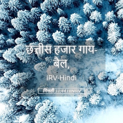 Picture 05 - गिनती 31:44 HINIRV - छत्तीस हजार - Bible Verse Picture