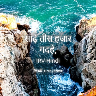 Picture 05 - गिनती 31:45 HINIRV - साढ़े तीस हजार - Bible Verse Picture