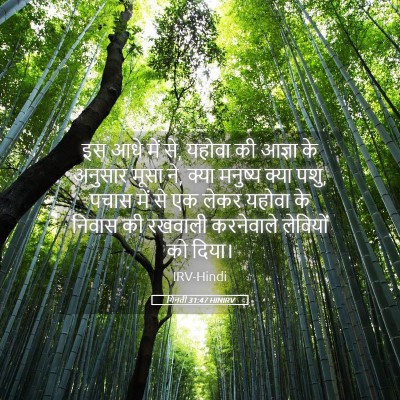 Picture 05 - गिनती 31:47 HINIRV - इस आधे में से, - Bible Verse Picture