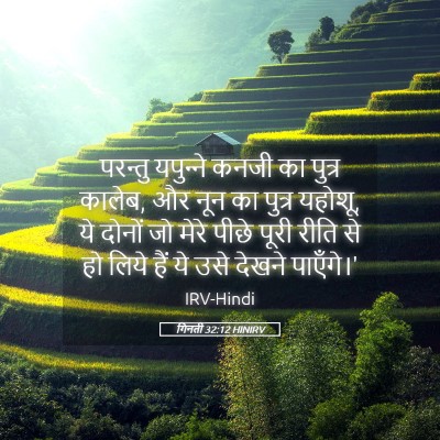 Picture 05 - गिनती 32:12 HINIRV - परन्तु यपुन्‍ने - Bible Verse Picture