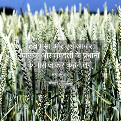 Picture 05 - गिनती 32:2 HINIRV - तब मूसा और एलीआजर - Bible Verse Picture