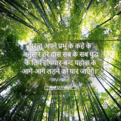Picture 05 - गिनती 32:27 HINIRV - परन्तु अपने प्रभु - Bible Verse Picture