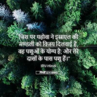Picture 05 - गिनती 32:4 HINIRV - जिस पर यहोवा ने - Bible Verse Picture