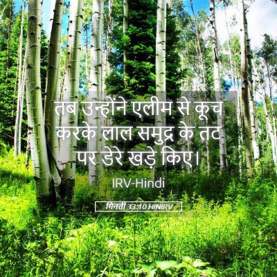 Picture 05 - गिनती 33:10 HINIRV - तब उन्होंने एलीम - Bible Verse Picture