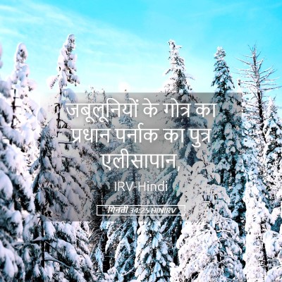 Picture 05 - गिनती 34:25 HINIRV - जबूलूनियों के - Bible Verse Picture