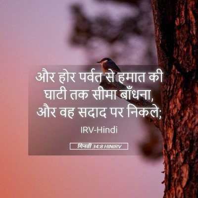 Picture 05 - गिनती 34:8 HINIRV - और होर पर्वत से - Bible Verse Picture