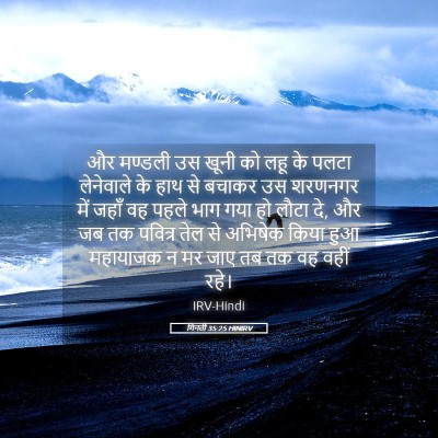 Picture 05 - गिनती 35:25 HINIRV - और मण्डली उस खूनी - Bible Verse Picture