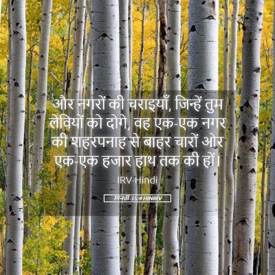 Picture 05 - गिनती 35:4 HINIRV - और नगरों की - Bible Verse Picture
