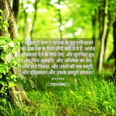 Picture 05 - गिनती 4:16 HINIRV - “जो वस्तुएँ हारून - Bible Verse Picture