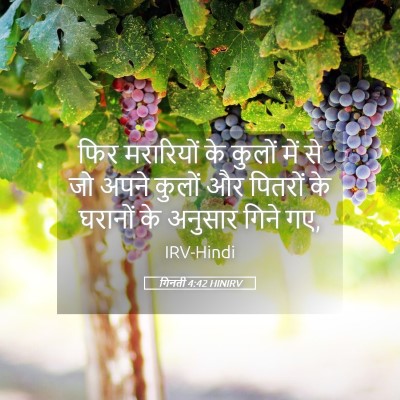 Picture 05 - गिनती 4:42 HINIRV - फिर मरारियों के - Bible Verse Picture