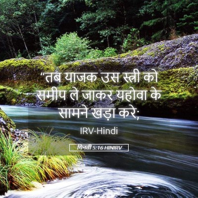 Picture 05 - गिनती 5:16 HINIRV - “तब याजक उस स्त्री - Bible Verse Picture