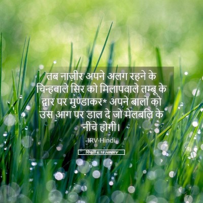 Picture 05 - गिनती 6:18 HINIRV - तब नाज़ीर अपने अलग - Bible Verse Picture