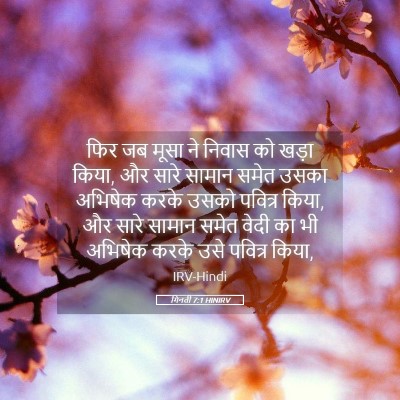Picture 05 - गिनती 7:1 HINIRV - फिर जब मूसा ने - Bible Verse Picture