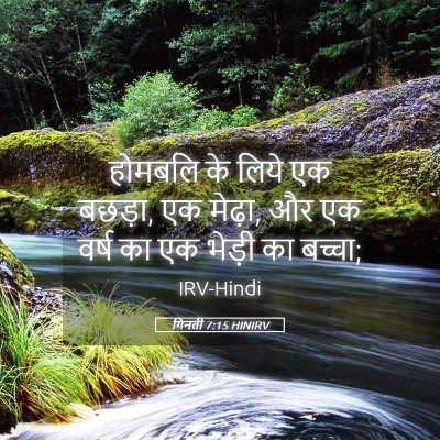 Picture 05 - गिनती 7:15 HINIRV - होमबलि के लिये एक - Bible Verse Picture