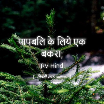 Picture 05 - गिनती 7:16 HINIRV - पापबलि के लिये एक - Bible Verse Picture