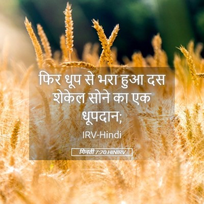 Picture 05 - गिनती 7:20 HINIRV - फिर धूप से भरा हुआ - Bible Verse Picture