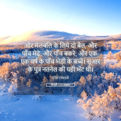 Picture 05 - गिनती 7:23 HINIRV - और मेलबलि के लिये - Bible Verse Picture
