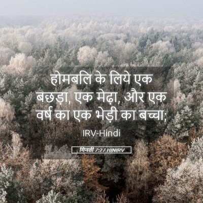 Picture 05 - गिनती 7:27 HINIRV - होमबलि के लिये एक - Bible Verse Picture