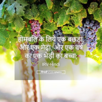 Picture 05 - गिनती 7:33 HINIRV - होमबलि के लिये एक - Bible Verse Picture