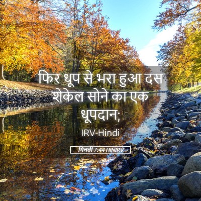 Picture 05 - गिनती 7:44 HINIRV - फिर धूप से भरा हुआ - Bible Verse Picture