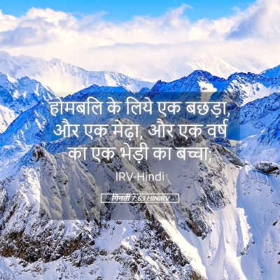 Picture 05 - गिनती 7:63 HINIRV - होमबलि के लिये एक - Bible Verse Picture