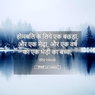 Picture 05 - गिनती 7:81 HINIRV - होमबलि के लिये एक - Bible Verse Picture