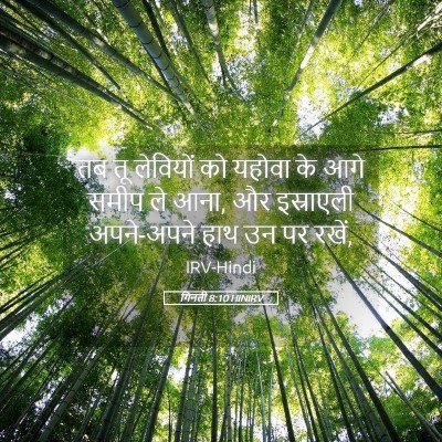 Picture 05 - गिनती 8:10 HINIRV - तब तू लेवियों को - Bible Verse Picture