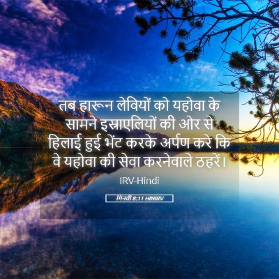 Picture 05 - गिनती 8:11 HINIRV - तब हारून लेवियों - Bible Verse Picture