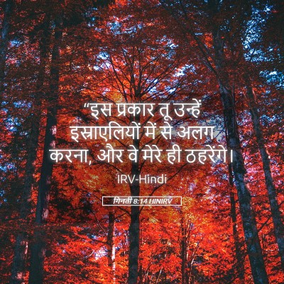 Picture 05 - गिनती 8:14 HINIRV - “इस प्रकार तू - Bible Verse Picture