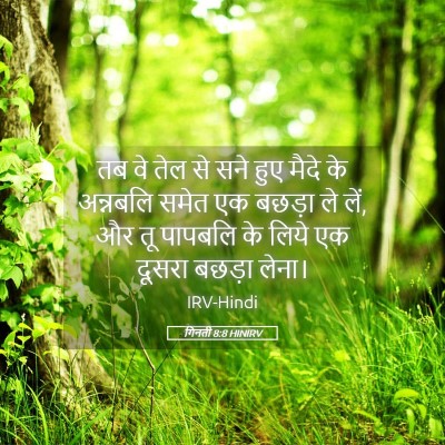 Picture 05 - गिनती 8:8 HINIRV - तब वे तेल से सने - Bible Verse Picture