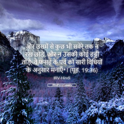 Picture 05 - गिनती 9:12 HINIRV - और उसमें से कुछ भी - Bible Verse Picture