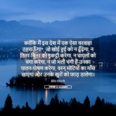 Picture 05 - जकर्याह 11:16 HINIRV - क्योंकि मैं इस देश - Bible Verse Picture