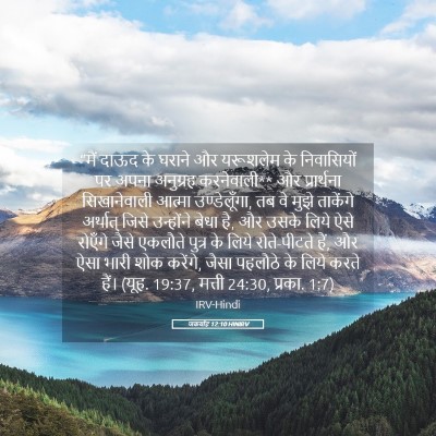 Picture 05 - जकर्याह 12:10 HINIRV - “मैं दाऊद के घराने - Bible Verse Picture