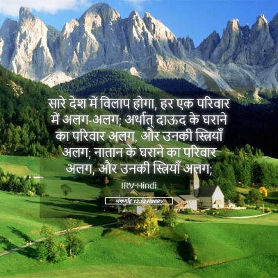Picture 05 - जकर्याह 12:12 HINIRV - सारे देश में विलाप - Bible Verse Picture