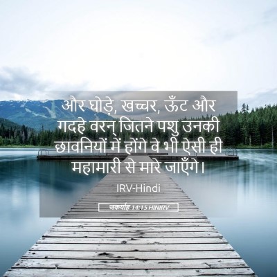 Picture 05 - जकर्याह 14:15 HINIRV - और घोड़े, खच्चर, - Bible Verse Picture
